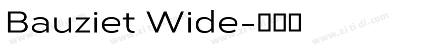 Bauziet Wide字体转换